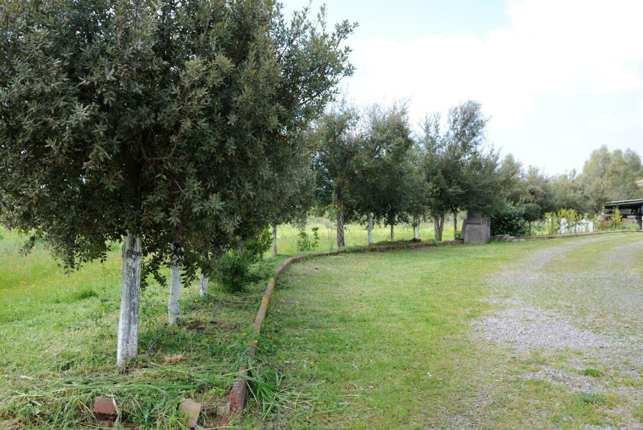 Tra Mare E Monti Appartement Santa Giusta Buitenkant foto