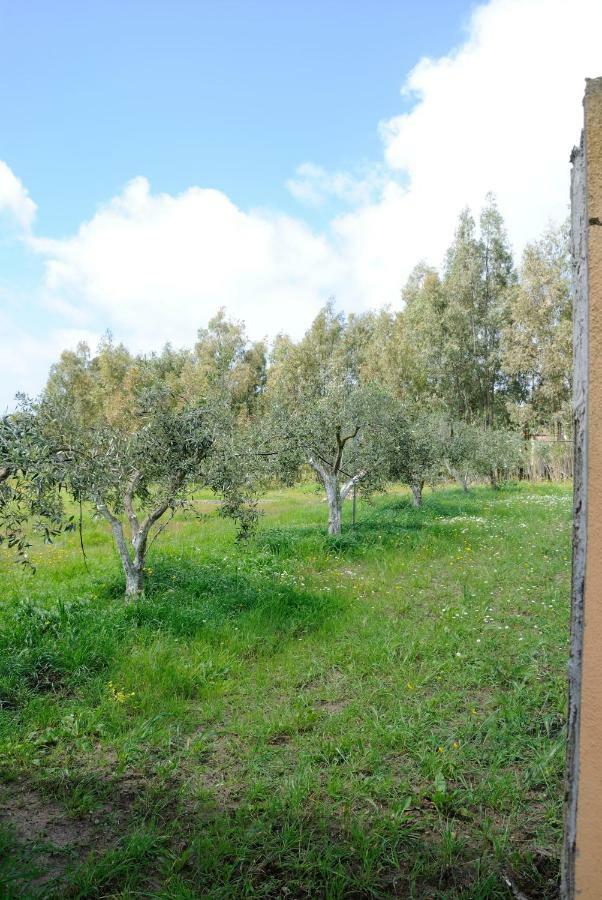 Tra Mare E Monti Appartement Santa Giusta Buitenkant foto