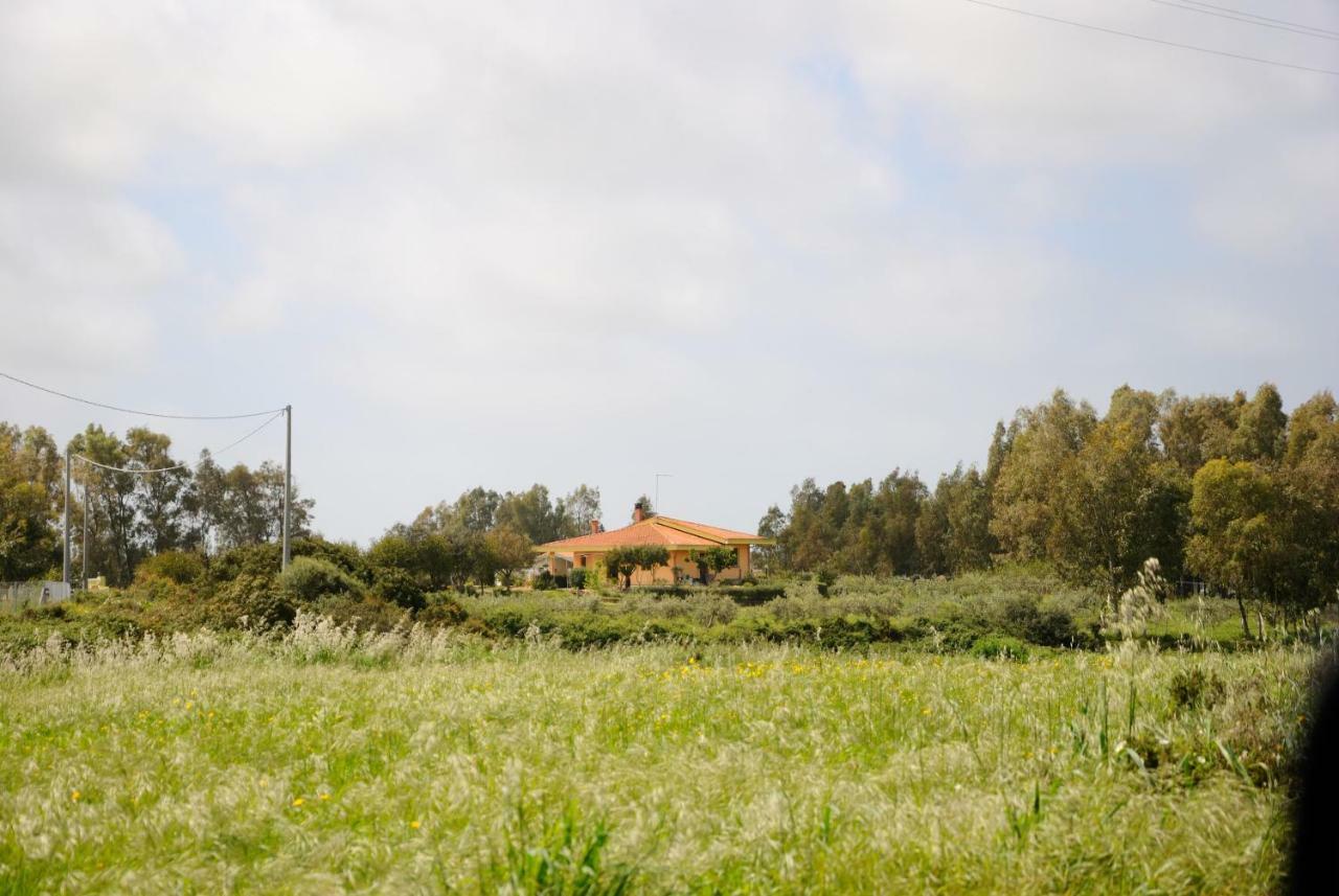 Tra Mare E Monti Appartement Santa Giusta Buitenkant foto